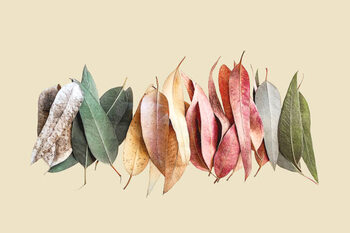 Canvas Print Creative layout made of green, gray, orange, red and purple leaves on beige background.