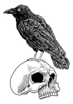 Canvas Print Crow Raven Corvus Bird and Skull Vintage Woodcut