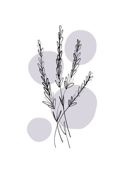 Canvas Print Delicate Botanicals - Lavender