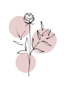Canvas Print Delicate Botanicals – Rose
