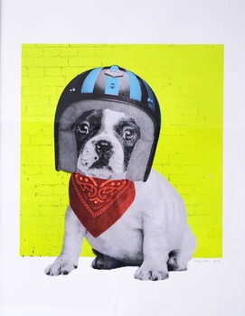 Canvas Print Easy Rider, 2016,
