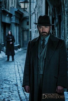 Canvas Print Fantastic Beasts - Dumbledore's secrets