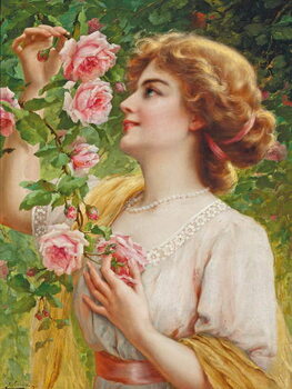 Canvas Print Fragrant roses