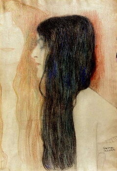 Canvas Print Girl with Long Hair