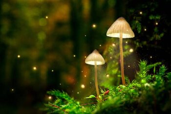 Canvas Print Glowing mushroom lamps with fireflies in