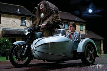 Canvas Print Hagrid's Motorbike