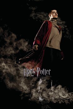 Canvas Print Harry Potter and the Goblet of Fire - Krum