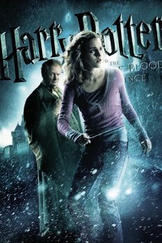 Canvas Print Harry Potter and The Half-Blood Prince - Hermione