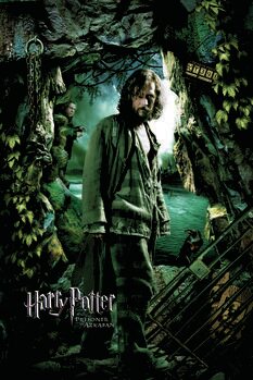 Canvas Print Harry Potter and the Prisoner of Azkaban - Sirius
