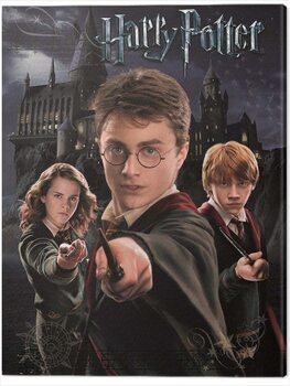 Canvas Print Harry Potter - Harry, Ron, Hermione
