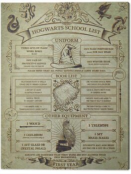 Canvas Print Harry Potter - Hogwarts School List