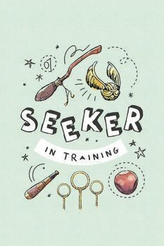 Canvas Print Harry Potter - Seeker in training