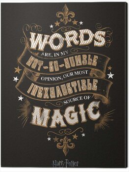Canvas Print Harry Potter - Words