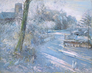 Canvas Print Hoar Frost Morning, 1996