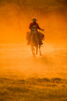 Canvas Print Horseback rider