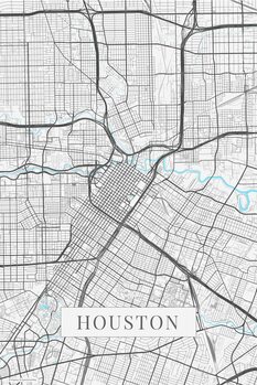 Canvas Print Houston white