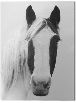 Canvas Print Ian Winstanley - Nordic Horse I