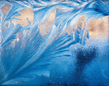 Canvas Print ice patterns