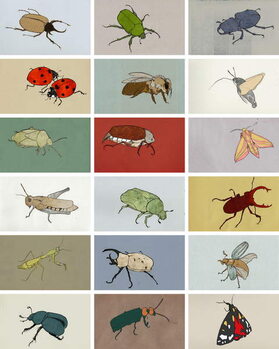 Canvas Print Insects, 2012