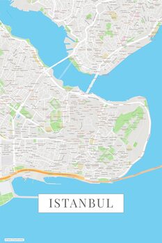 Canvas Print Instanbul color