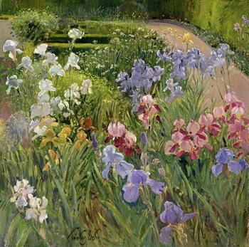 Canvas Print Irises at Bedfield