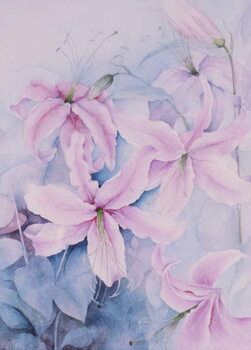 Canvas Print Lilies, pink Auratum