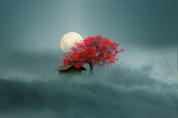 Canvas Print little housen on the clouds