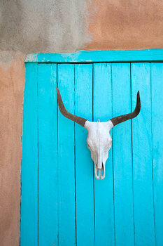 Canvas Print Long horn cow skull on wall.