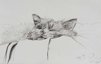 Canvas Print Monty sleepy boy, 2013,