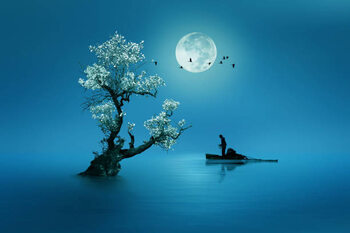 Canvas Print Moon shines beautifully on the dream