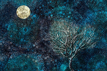 Canvas Print Moonlit winter tree against a starry sky