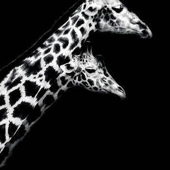 Canvas Print Nicolas Evariste - In Love II