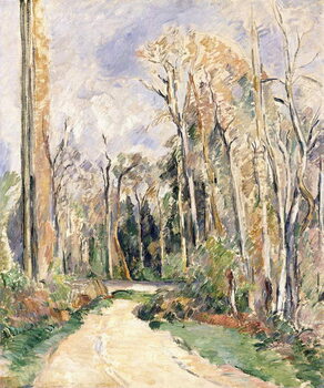 Canvas Print Path at the entrance of the forest