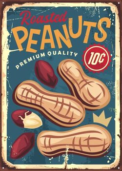 Canvas Print Peanuts vintage metal sign design