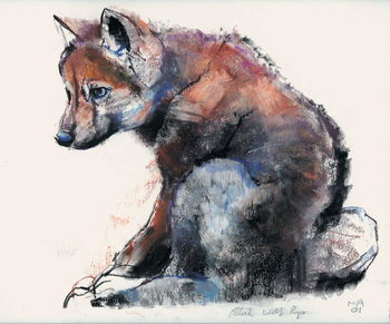 Canvas Print Polish Wolf Pup, 2001