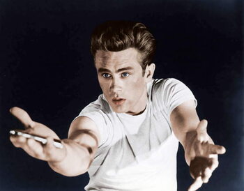Canvas Print Rebel Without A Cause directed by Nicholas Ray, 1955