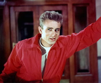 Canvas Print Rebel Without A Cause directed by Nicholas Ray, 1955
