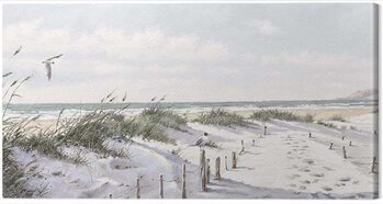 Canvas Print Richard Macneil - Footpath to the Beach