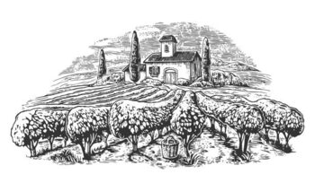 Canvas Print Rural landscape with villa, vineyard fields