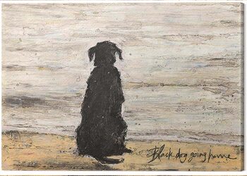 Canvas Print Sam Toft - Black Dog Going Home