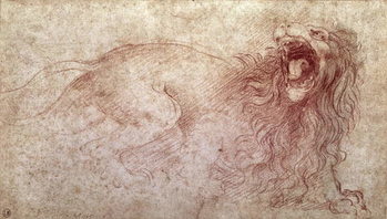 Canvas Print Sketch of a roaring lion