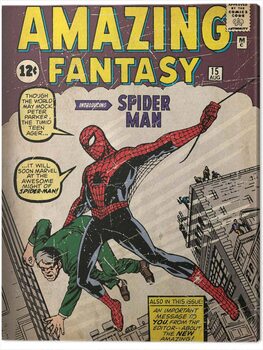 Canvas Print Spider-Man - Issue 1
