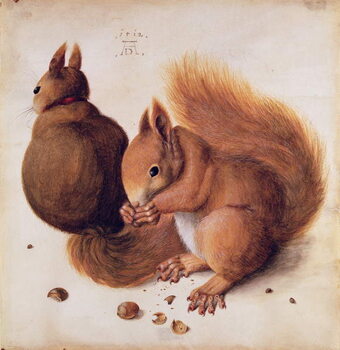 Canvas Print Squirrels, 1512