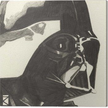 Canvas Print Star Wars - Darth Vader