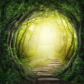 Canvas Print Stone road in magic forest leads to haze of light