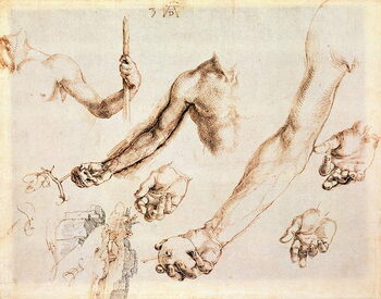 Canvas Print Study of male hands and arms