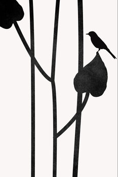 Canvas Print The Bird