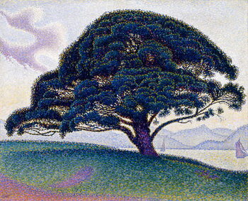 Canvas Print The Bonaventure Pine, 1893