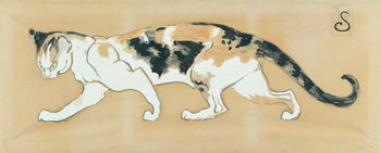 Canvas Print The Cat