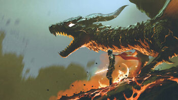 Canvas Print the knight with the fire dragon